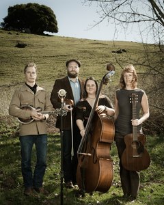 The Foghorn Stringband (portrait, photo by Mike Melnyk)