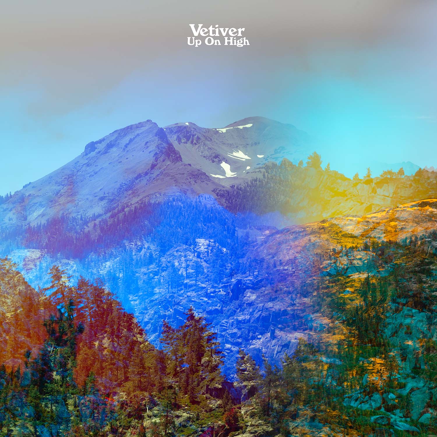 vetiver_uponhigh_1500-lores